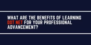 What are the benefits of learning Dot Net for your professional advancement?