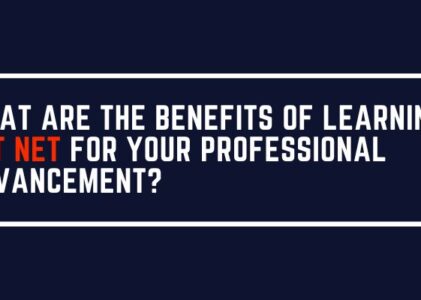 What are the benefits of learning Dot Net for your professional advancement?